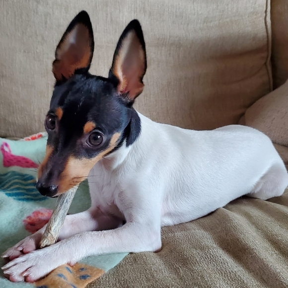 Meet your Posher, Tiff - Picture 10 of 16